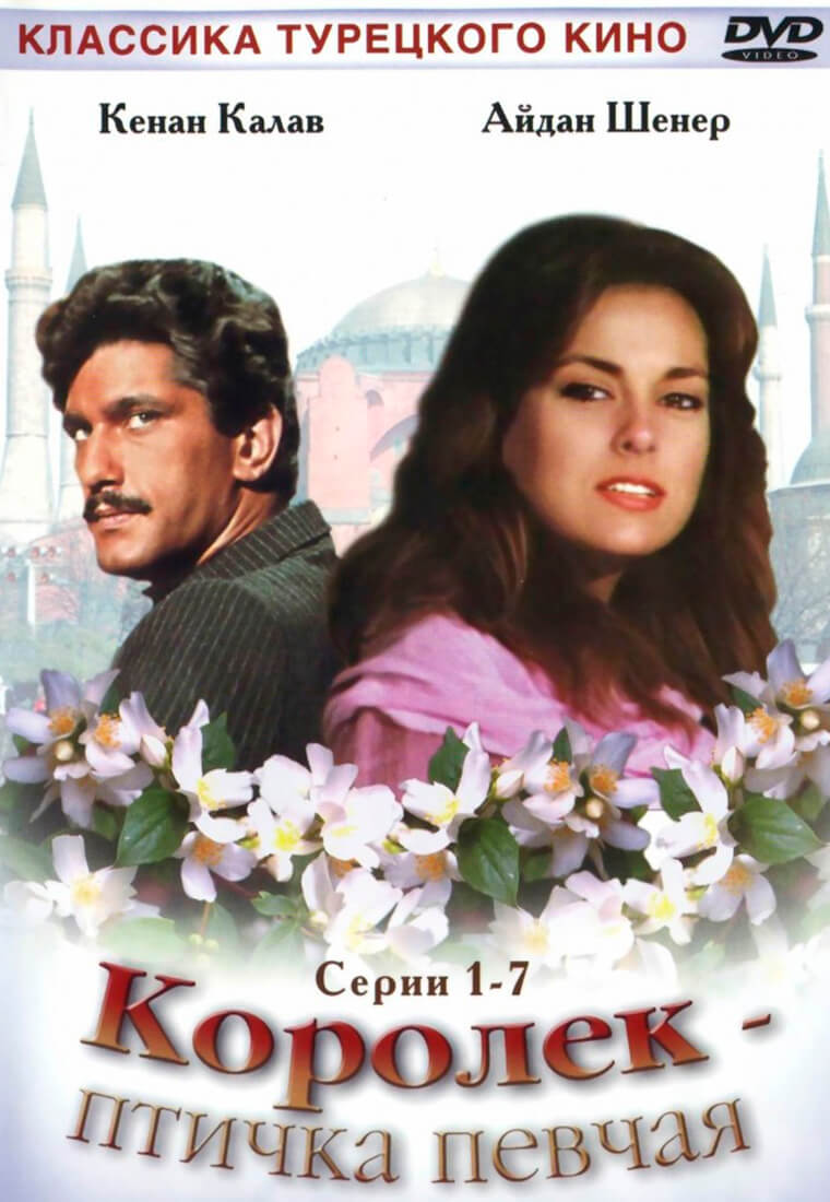 Королек - птичка певчая